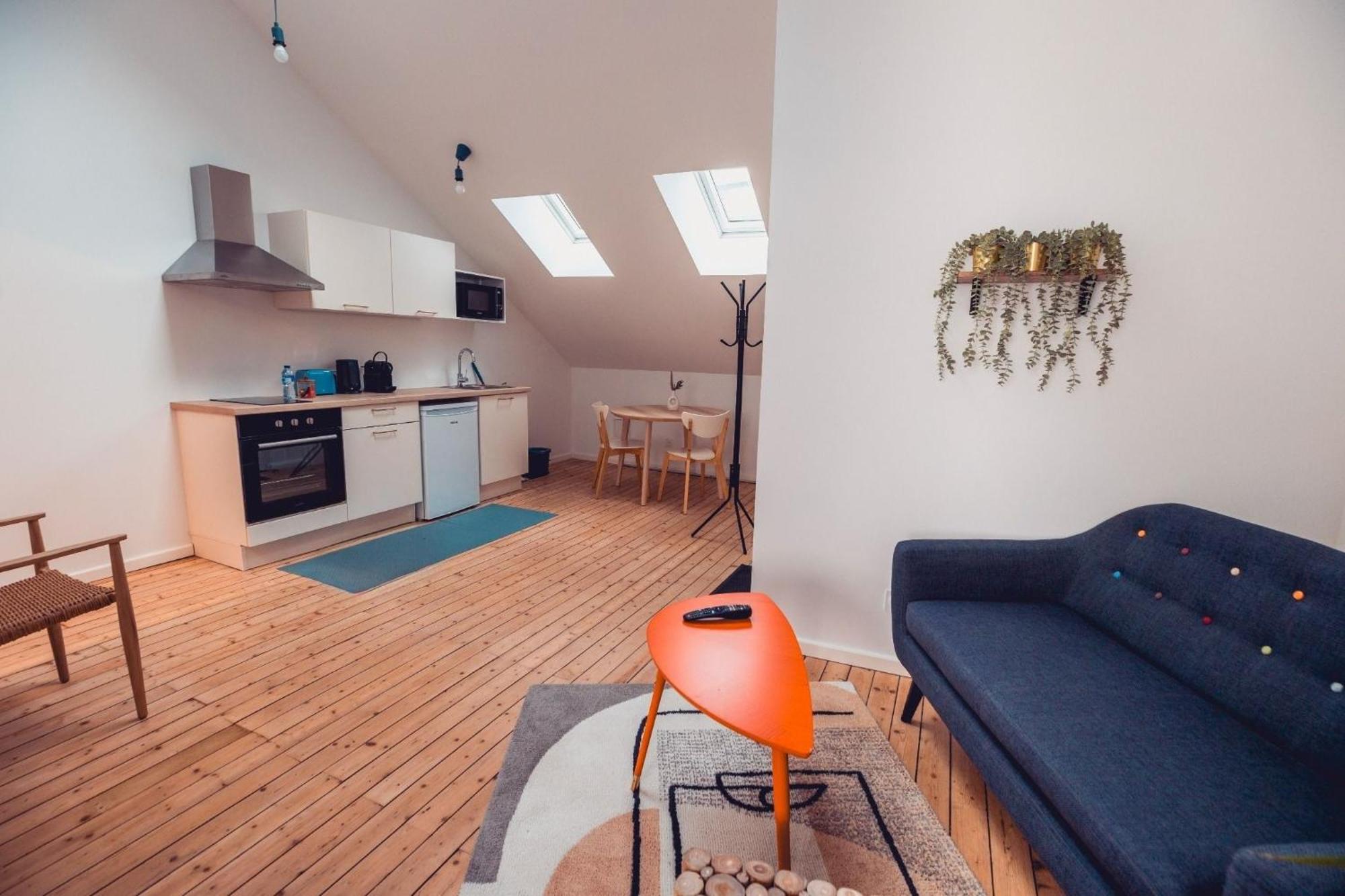 Loft Lumineux Tres Spacieux - Parking Gratuit ชาโตรูซ์ ภายนอก รูปภาพ